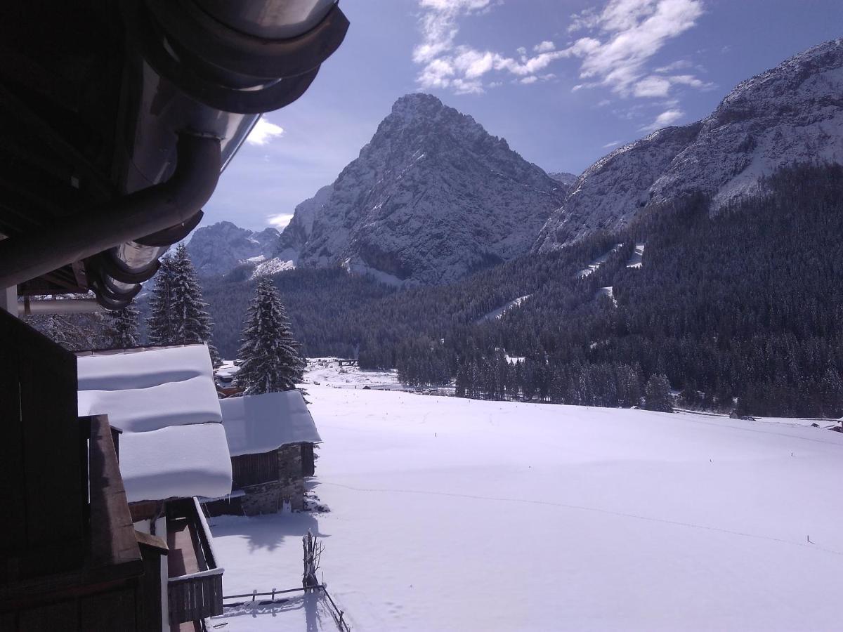 Plodn House Lejlighed Sappada Eksteriør billede